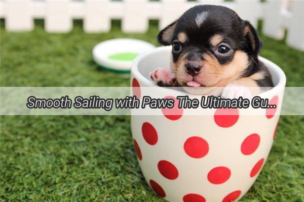 Smooth Sailing with Paws The Ultimate Guide to Dog Shipping Success